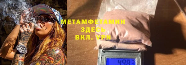 индика Арсеньев