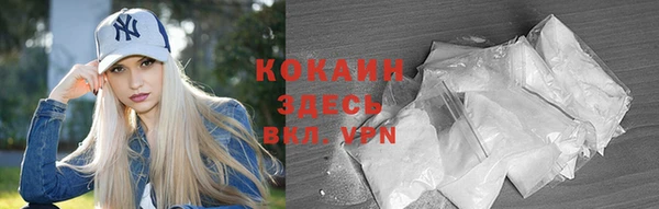 индика Арсеньев