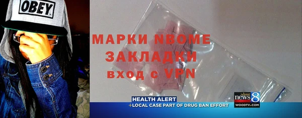 прущие грибы Горняк