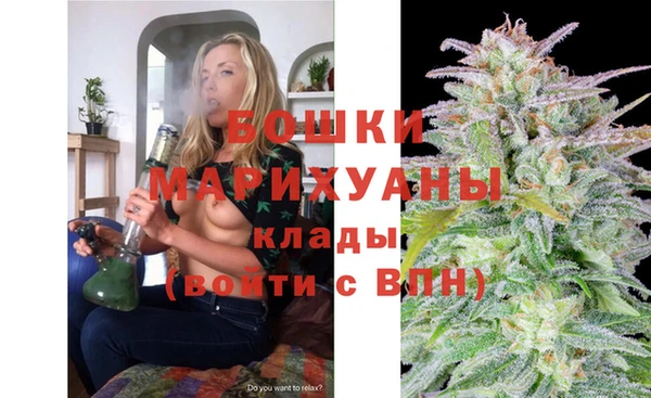 индика Арсеньев