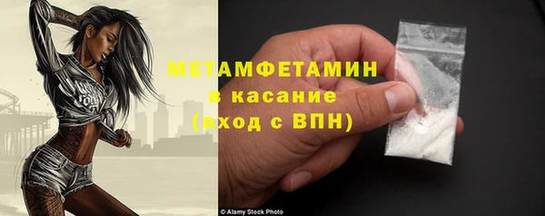 индика Арсеньев