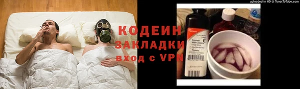 индика Арсеньев