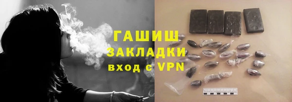 индика Арсеньев
