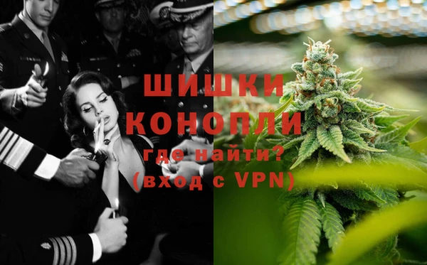 прущие грибы Горняк