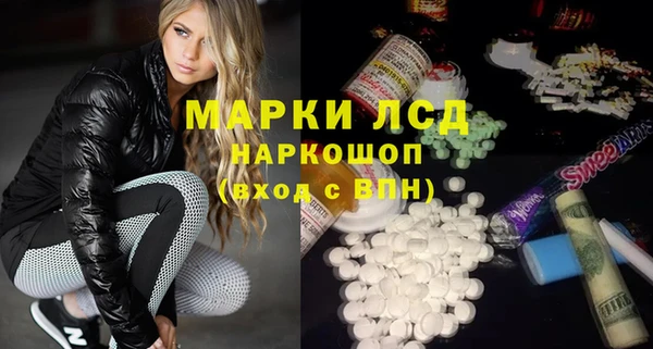 индика Арсеньев