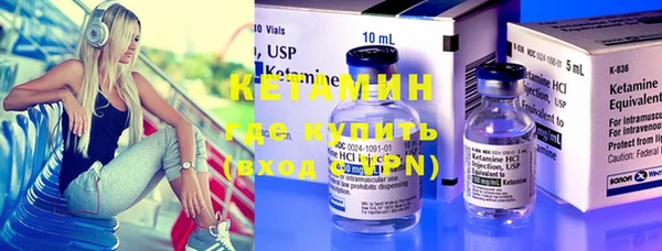 индика Арсеньев